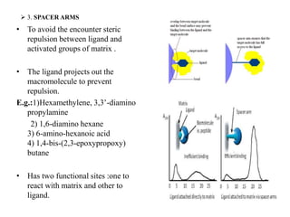  3. SPACER ARMS
• To avoid the encounter steric
repulsion between ligand and
activated groups of matrix .
• The ligand projects out the
macromolecule to prevent
repulsion.
E.g.:1)Hexamethylene, 3,3’-diamino
propylamine
2) 1,6-diamino hexane
3) 6-amino-hexanoic acid
4) 1,4-bis-(2,3-epoxypropoxy)
butane
• Has two functional sites :one to
react with matrix and other to
ligand.
 
