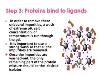  In order to remove these
unbound impurities, a wash
of extreme pH, salt
concentration, or
temperature is run through
the gel.
 It is important to use a
strong wash so that all the
impurities are removed.
 Once the impurities are
washed-out, the only
remaining part of the protein
mixture should be the desired
isolates.
 