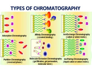 TYPES OF CHROMATOGRAPHY
 