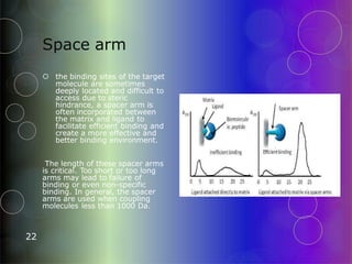 Space arm
 the binding sites of the target
molecule are sometimes
deeply located and difficult to
access due to steric
hindrance, a spacer arm is
often incorporated between
the matrix and ligand to
facilitate efficient binding and
create a more effective and
better binding environment.
The length of these spacer arms
is critical. Too short or too long
arms may lead to failure of
binding or even non-specific
binding. In general, the spacer
arms are used when coupling
molecules less than 1000 Da.
22
 