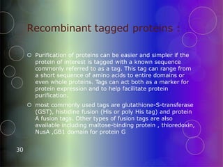 Recombinant tagged proteins :
30
 Purification of proteins can be easier and simpler if the
protein of interest is tagged with a known sequence
commonly referred to as a tag. This tag can range from
a short sequence of amino acids to entire domains or
even whole proteins. Tags can act both as a marker for
protein expression and to help facilitate protein
purification.
 most commonly used tags are glutathione-S-transferase
(GST), histidine fusion (His or poly His tag) and protein
A fusion tags. Other types of fusion tags are also
available including maltose-binding protein , thioredoxin,
NusA ,GB1 domain for protein G
 