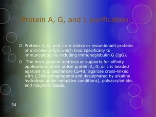 Protein A, G, and L purification:
34
 Proteins A, G, and L are native or recombinant proteins
of microbial origin which bind specifically to
immunoglobulins including immunoglobulin G (IgG).
 The most popular matrixes or supports for affinity
applications which utilize protein A, G, or L is beaded
agarose (e.g. Sepharose CL-4B; agarose cross-linked
with 2,3dibromopropanol and desulphated by alkaline
hydrolysis under reductive conditions), polyacrylamide,
and magnetic beads.
 