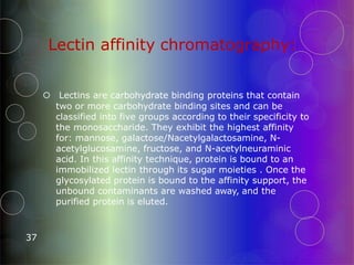 Lectin affinity chromatography:
37
 Lectins are carbohydrate binding proteins that contain
two or more carbohydrate binding sites and can be
classified into five groups according to their specificity to
the monosaccharide. They exhibit the highest affinity
for: mannose, galactose/Nacetylgalactosamine, N-
acetylglucosamine, fructose, and N-acetylneuraminic
acid. In this affinity technique, protein is bound to an
immobilized lectin through its sugar moieties . Once the
glycosylated protein is bound to the affinity support, the
unbound contaminants are washed away, and the
purified protein is eluted.
 