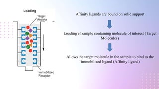 Affinity Chromatography.pdf