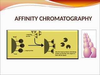 AFFINITY CHROMATOGRAPHY
 