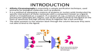 AFFINITY CHROMATOGRAPHY IMA SEMESTER 7.pptx