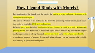 How Ligand Binds with Matrix?
1. For attachment of the ligand with the matrix, the matrix is given preliminary treatment with
cyanogens bromideat pH11.
2. This causes activation of the matrix and the molecules containing primary amino groups could
then easily be coupled to CNBr activated matrices.
3. Different spacer arms including 1,6-diamino hexane, 6-amino hexanoic acid, and 1,4-bis(epoxy-
propoxy)butane have been used to which the ligand can be attached by conventional organo
synthetic procedures involving the use of succinic anhydride and a water soluble carbodiimide.
4. A number of supports of agarose, dextran and polyacrylamide type are commercially available
with a variety of spacer arms and ligands.
 