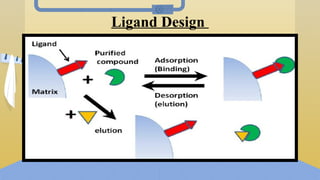 Ligand Design
 