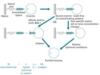 Affinity Chromatography Instrumentation Technique | PPTX