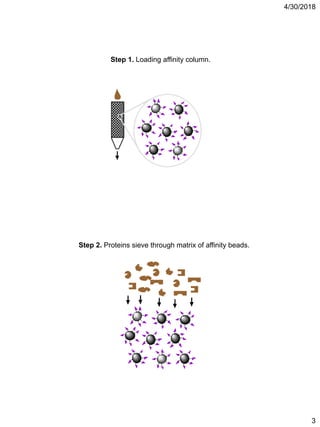 4/30/2018
3
Step 1. Loading affinity column.
Step 2. Proteins sieve through matrix of affinity beads.
 