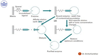 Affinity Chromatography Principles, Applications, and Techniques for ...