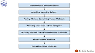 Affinity Chromatography Principles, Applications, and Techniques for ...