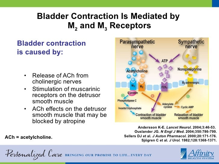 Taking Control of Urinary Incontinence