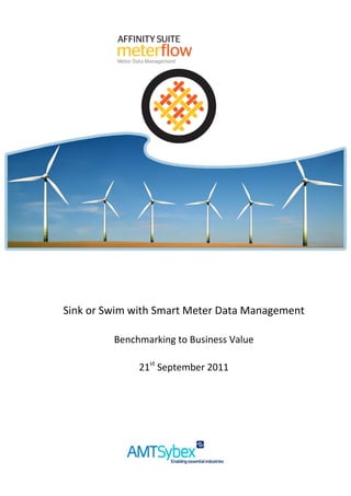 Sink or Swim with Smart Meter Data Management

         Benchmarking to Business Value

              21st September 2011




                                                 1
                   © Copyright AMT-SYBEX 2011.
 