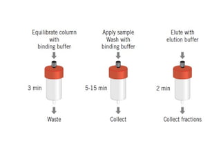 Affinity chromatography: Principles and applications | PPT