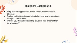 Historical Background
● Early humans appreciated animal forms, as seen in cave
paintings.
● Ancient civilizations learned about plant and animal structures
through domestication.
● Why do you think understanding structure was important for
early humans?
 