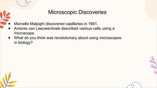 Microscopic Discoveries
● Marcello Malpighi discovered capillaries in 1661.
● Antonie van Leeuwenhoek described various cells using a
microscope.
● What do you think was revolutionary about using microscopes
in biology?
 