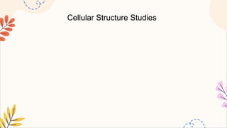Cellular Structure Studies
 