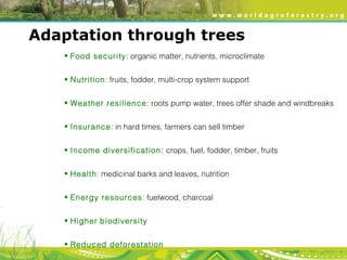 Agroforestry for food security and climate resilience | PPT