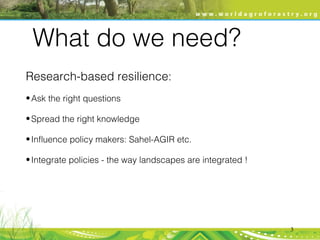 Agroforestry for food security and climate resilience | PPT