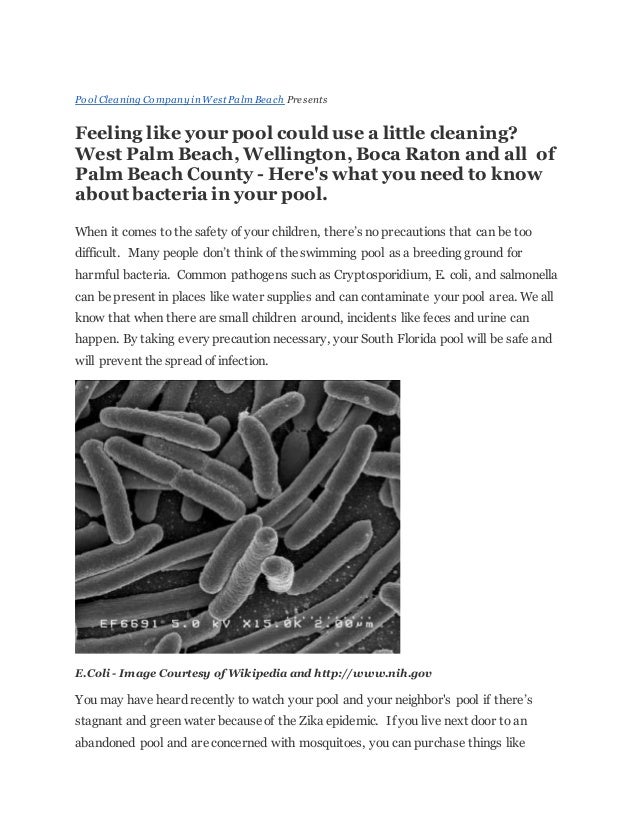 Bacteria In Pools What you need to know.