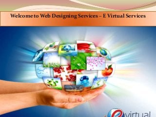 Welcome to Web Designing Services – E Virtual Services

 