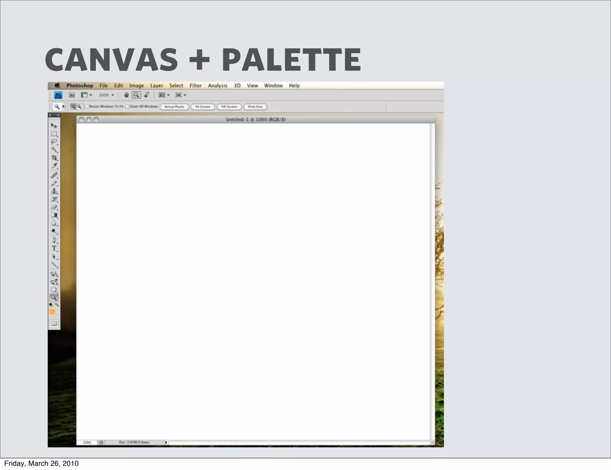 canvas + palette




Friday, March 26, 2010
 