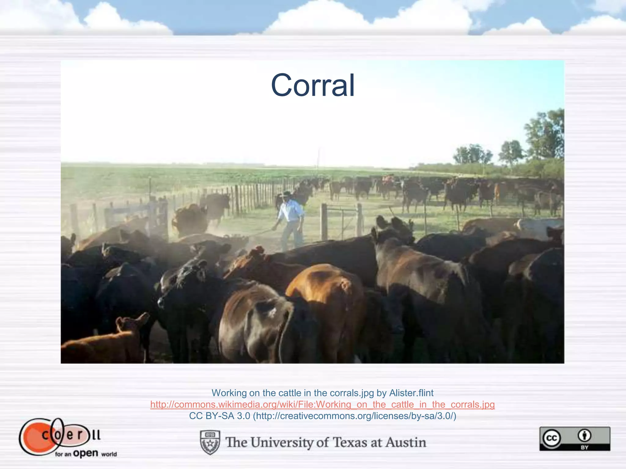 Working on the cattle in the corrals.jpg by Alister.flint
http://commons.wikimedia.org/wiki/File:Working_on_the_cattle_in_the_corrals.jpg
CC BY-SA 3.0 (http://creativecommons.org/licenses/by-sa/3.0/)
Corral
 