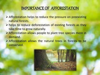IMPORTANCE OF AFFORESTATION
Afforestation helps to reduce the pressure on preexisting
natural forests.
helps to reduce deforestation of existing forests as they
take time to grow naturally.
Afforestation allows people to plant tree species more in
demand.
Afforestation allows the natural trees in forests to be
conserved.
 