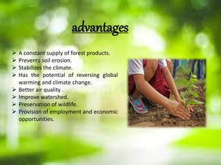 advantages
 A constant supply of forest products.
 Prevents soil erosion.
 Stabilizes the climate.
 Has the potential of reversing global
warming and climate change.
 Better air quality .
 Improve watershed.
 Preservation of wildlife.
 Provision of employment and economic
opportunities.
 