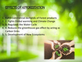 1. Fulfill Commercial demands of Forest products
2. 2. Fights Global warming and Climate Change
3. 3. Regulates the Water Cycle
4. 4. Reduces the greenhouse gas effect by acting as
Carbon Sinks
5. 5. Development of New Ecosystems
EFFECTS OF AFFORESTATION
 