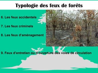 6. Les feux accidentels 7. Les feux criminels 8. Les feux d’aménagement 9. Feux d’entretien ou d’ouverture des voies de circulation Typologie des feux de forêts 