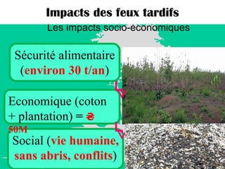 Les impacts socio-économiques Impacts des feux tardifs Sécurité alimentaire ( environ 30 t/an ) Social ( vie humaine, sans abris, conflits ) Economique (coton + plantation)  =  ₴ 50M 