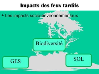 Impacts des feux tardifs Les impacts socio-environnementaux Biodiversité GES SOL 