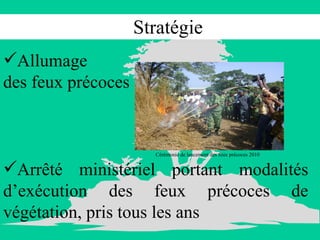 Stratégie Allumage  des feux précoces Cérémonie de lancement des feux précoces 2010 Arrêté ministériel portant modalités d’exécution des feux précoces de végétation, pris tous les ans 