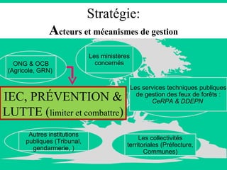 Stratégie: A cteurs et mécanismes de gestion IEC, PRÉVENTION & LUTTE ( limiter et combattre ) Les ministères concernés Les services techniques publiques de gestion des feux de forêts :  CeRPA & DDEPN   Les collectivités territoriales (Préfecture, Communes) Autres institutions publiques (Tribunal, gendarmerie, ) ONG & OCB (Agricole, GRN)  