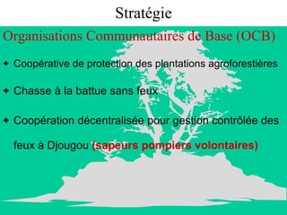 Stratégie Organisations Communautaires de Base (OCB)   Coopérative de protection des plantations agroforestières Chasse à la battue sans feux Coopération décentralisée pour gestion contrôlée des feux à Djougou  (sapeurs pompiers volontaires) 