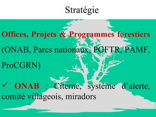Stratégie Offices, Projets & Programmes forestiers  (ONAB, Parcs nationaux, PGFTR, PAMF, ProCGRN) ONAB  : Citerne, système d’alerte, comité villageois, miradors 