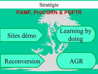 Stratégie PAMF, ProCGRN & PGFTR Sites démo Learning by doing Reconversion AGR 