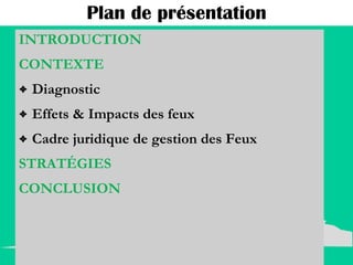 Plan de présentation INTRODUCTION CONTEXTE  Diagnostic Effets & Impacts des feux Cadre juridique de gestion des Feux STRATÉGIES CONCLUSION 