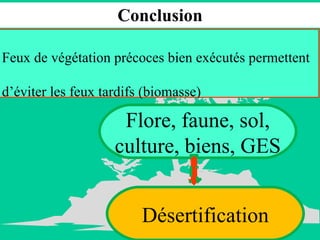 Conclusion Flore, faune, sol, culture, biens, GES  Désertification Feux de végétation précoces bien exécutés permettent  d’éviter les feux tardifs (biomasse) 