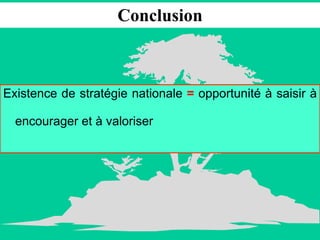 Conclusion Existence de stratégie nationale  =  opportunité à saisir à encourager et à valoriser 