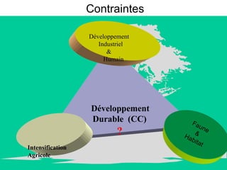 Contraintes Développement  Durable  (CC)  ? Intensification Agricole   Développement  Industriel  &  Humain Faune & Habitat 