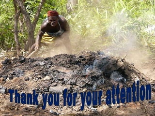 Thank you for your attention 