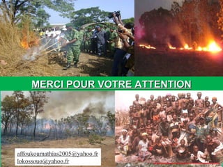 Conservation  ex situ Braconnage   Focus groupe pour études socio- éco Parc Zoo MERCI POUR VOTRE ATTENTION [email_address] [email_address] 