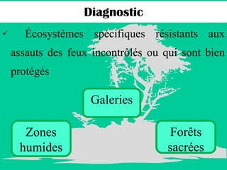 Écosystèmes spécifiques résistants aux assauts des feux incontrôlés ou qui sont bien protégés Diagnostic Galeries Zones humides Forêts sacrées 