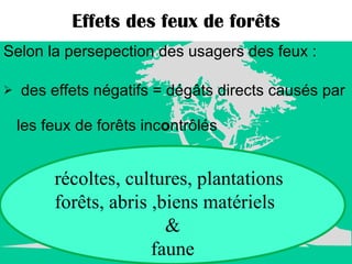 Effets des feux de forêts Selon la persepection des usagers des feux : des effets négatifs = dégâts directs causés par les feux de forêts inc o ntrôlés récoltes, cultures, plantations forêts, abris ,biens matériels & faune 