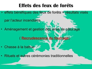 Effets des feux de forêts effets bénéfiques des feux de forêts = résultats visés par l’acteur incendiaire Aménagement et gestion des aires de pâturage (  Recrudescence du fourrage ) Chasse à la battue Rituels et autres cérémonies traditionnelles 