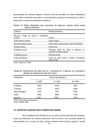 decomposição de resíduos vegetais. Portanto, deve-se considerar os efeitos alelopáticos 
como critério importante para definir a recomendação da época de semeadura do milho e 
sorgo após o manejo das espécies de cobertura. 
Tabela 19: Efeito alelopático e/ou supressor de algumas culturas sobre certas 
55 
plantas silvestres. 
Culturas Plantas silvestres 
Mucuna, Feijão de porco e Crotalaria 
juncea Tiririca 
Aveia preta e centeio Capim papuã 
Mucunas preta e cinza Picão preto, picão branco, capim carrapicho 
Azevém anual Guanxuma 
Ervilhaca comum Plantada antes do milho é eficiente no 
controle de capim papuã 
Crotalaria juncea Diversas ervas 
Cravo de defunto Corda de viola, Caruru, Leiteiro, Carrapicho 
beiço de boi . 
Fonte : Costa et al, 1992. 
Tabela 20: Rendimento de milho (kg ha-1), semeado em 3 épocas, em sucessão a 
plantas de cobertura do solo de inverno. 
ESPÉCIES ÉPOCA DE MANEJO 
0 DAS1 10 DAS1 20 DAS1 
Ervilhaca 7294 8776 8274 
Tremoço 7018 8536 7980 
Nabo forrageiro 7720 7957 7796 
Aveia 6352 6544 7335 
Azevém 4738 5065 5728 
1 DAS = Dias antes da semeadura 
Fonte: Ruedell, 1995. 
7.5 ESPÉCIES USADAS PARA COBERTURA VERDE 
Nas condições do Rio Grande do sul, no verão as áreas agrícolas são ocupadas, 
quase que totalmente, por culturas comerciais, mas no inverno, com a grande redução da 
área plantada com a cultura do trigo, ocorrem extensas áreas ociosas, sujeitas à erosão 
 