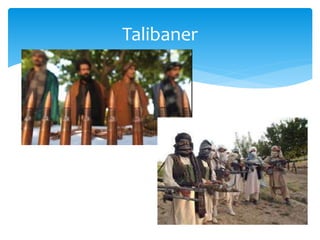 Talibaner
 